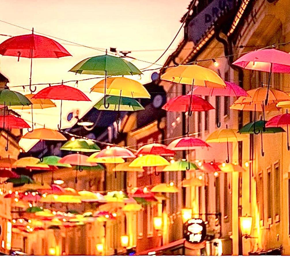 Hostel Lovely Rooms, City Center, Shared Bathroom, Windows To Corridor Villach Eksteriør bilde