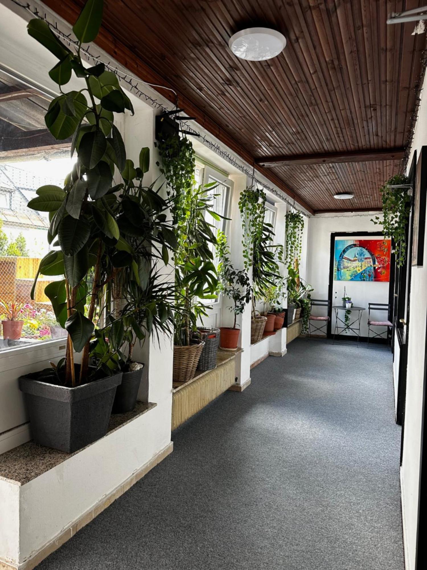 Hostel Lovely Rooms, City Center, Shared Bathroom, Windows To Corridor Villach Eksteriør bilde